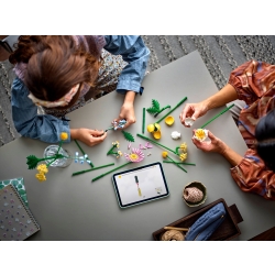 Klocki LEGO 10347 Mały słoneczny bukiet BOTANICAL COLLECTION